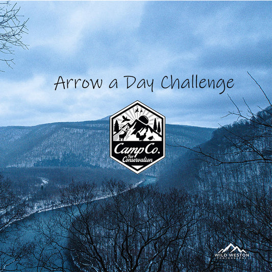 Arrow a Day Challenge Sign-up