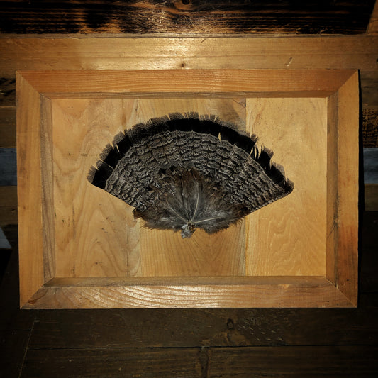 Grouse Fan Shadow Box